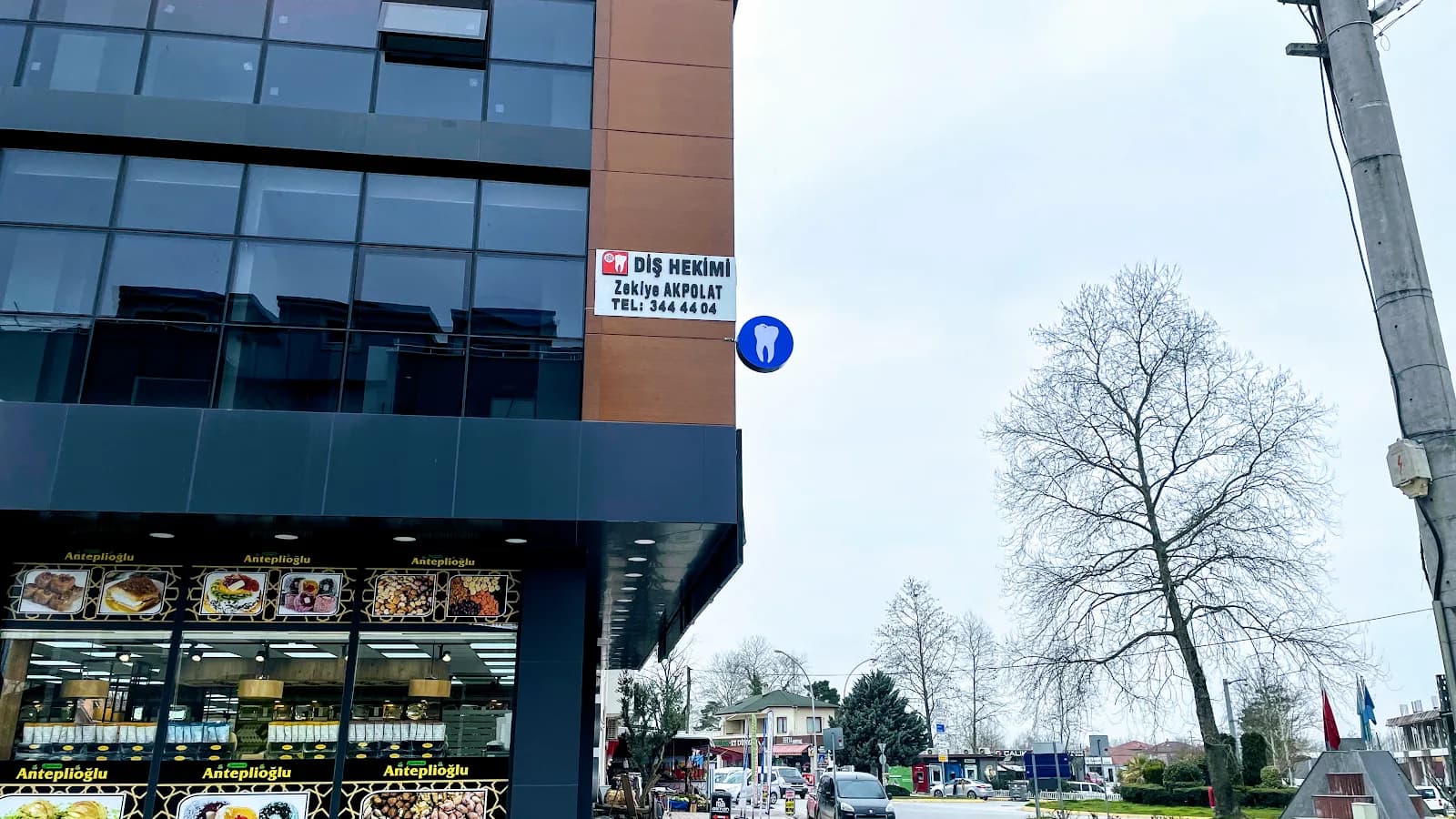 Diş Hekimi Zekiye Akpolat Ersoy klinik kapak fotoğrafı